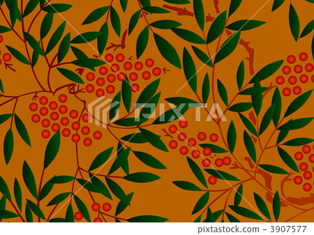 南天樹的果實 南天竹 南部天空 3907577