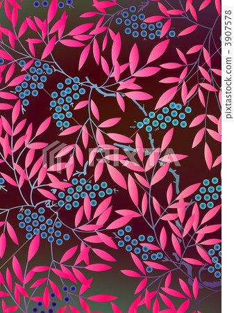 南天樹的果實 南天竹 南部天空 3907578