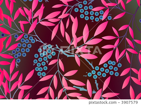 南天樹的果實 南天竹 南部天空 3907579