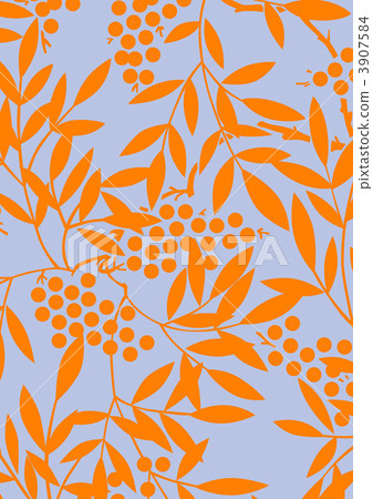 南天樹的果實 南天竹 南部天空 3907584