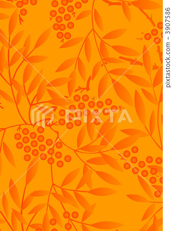 南天樹的果實 南天竹 南部天空 3907586