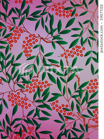 南天樹的果實 南天竹 南部天空 3907588