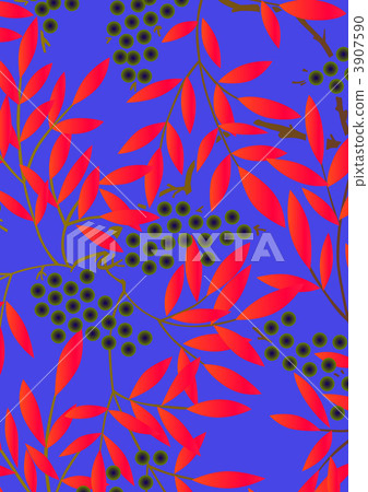 南天樹的果實 南天竹 南部天空 3907590