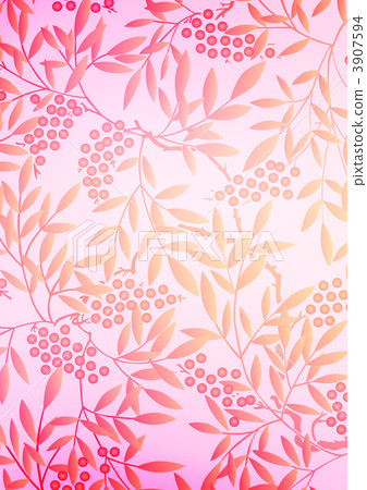 南天樹的果實 南天竹 南部天空 3907594