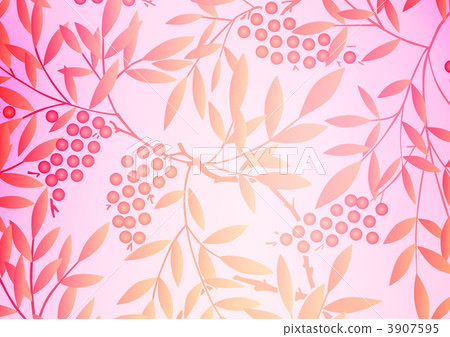 南天樹的果實 南天竹 南部天空 3907595