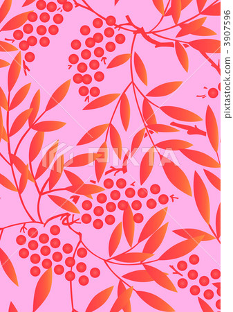 南天樹的果實 南天竹 南部天空 3907596