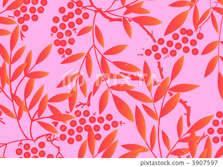 南天樹的果實 南天竹 南部天空 3907597