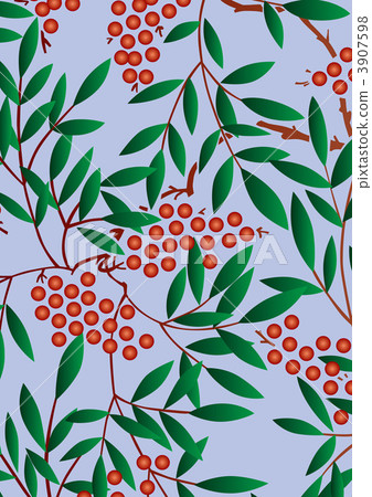 南天樹的果實 南天竹 南部天空 3907598