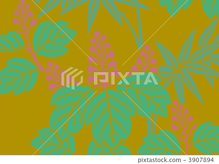 auger, Paulownia, paulownitree 3907894