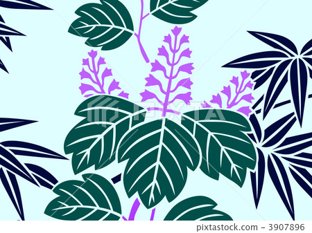 auger, Paulownia, paulownitree 3907896