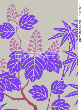 auger, Paulownia, paulownitree 3907898