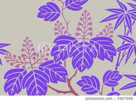 auger, Paulownia, paulownitree 3907899