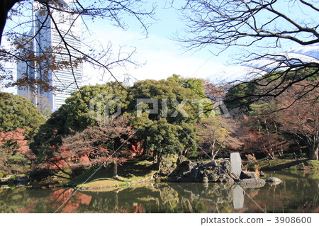 小石川後樂園 小石川後樂園 3908600