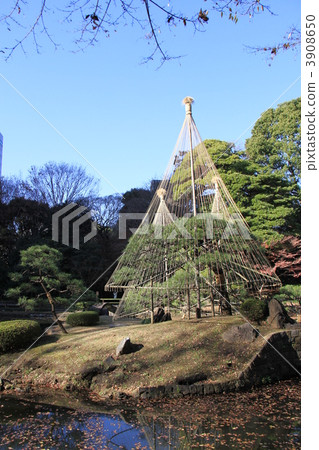 小石川後樂園 小石川後樂園 3908650