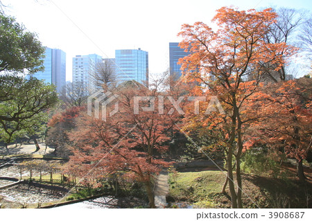 Koishikawa Korakuen Koishikawa Korakuen 3908687