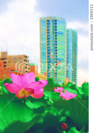 荷花葉 花朵 花 3909313