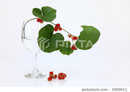 Yamaha strawberry on a wineglass Yamaha strawberry on a wineglass 3909651