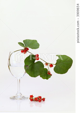 在葡萄酒杯的Yamaha草莓 3909654