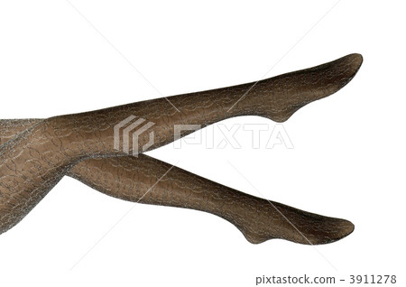 Women's feet wearing stockings Women's feet wearing stockings 3911278