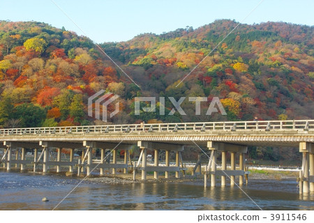 秋葉的Togetsu-bashi 3911546