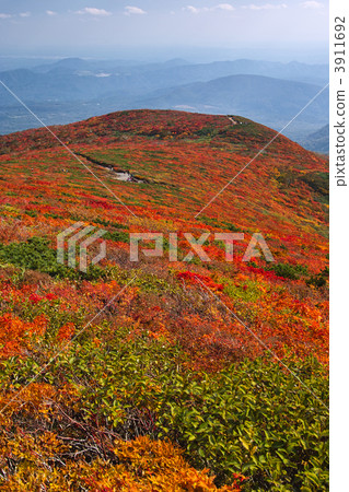 Kurikoma Mountains Autumn leaves 2011 Kurikoma Mountains Autumn leaves 2011 3911692