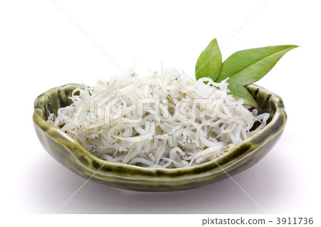 白砂 白砂 3911736