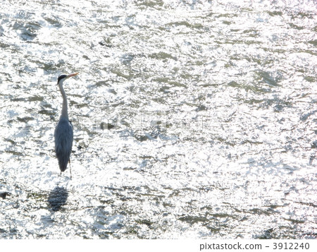 Ao juice and the water surface 3912240