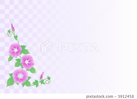 粉紅色的牽牛花 粉紅色的牽牛花 3912458