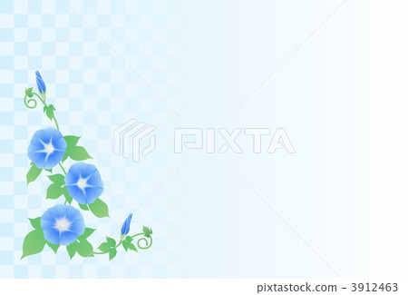 淺藍色的牽牛花 淺藍色的牽牛花 3912463