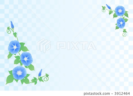 淺藍色的牽牛花 淺藍色的牽牛花 3912464