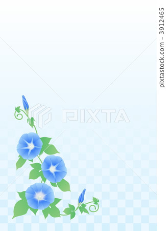 淺藍色的牽牛花 淺藍色的牽牛花 3912465