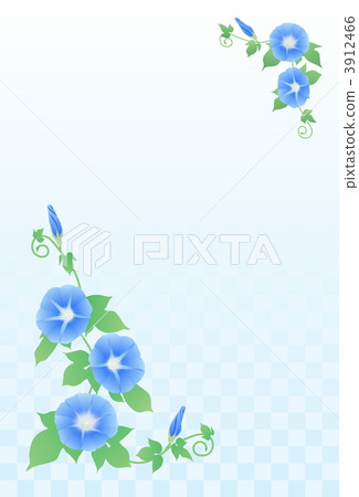 淺藍色的牽牛花 淺藍色的牽牛花 3912466