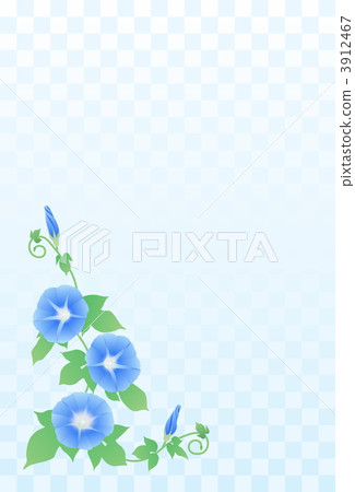 淺藍色的牽牛花 淺藍色的牽牛花 3912467