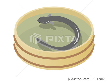 鰻魚 3912865