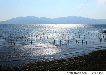 天草海苔的水產養殖 3913358