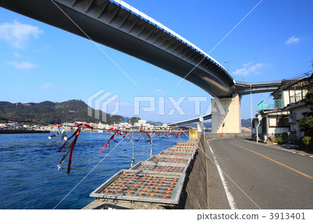 山毛櫸木租用橋 3913401