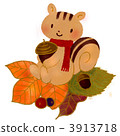 acorn, squirrel, squirrels 3913718