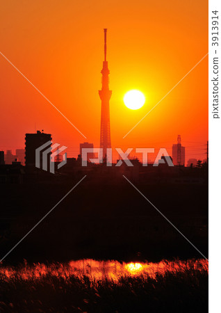 Sunset and Sky Tree Sunset and Sky Tree 3913914