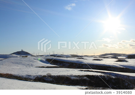 Ranch of Soya Cape Ranch at the northernmost tip of Japan 3914080