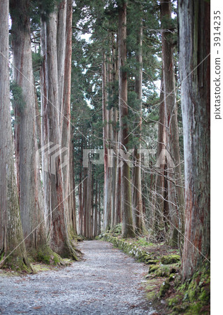 戶隱神殿 寺 寺院 3914235