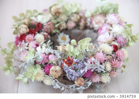 Dry Flower Lease Dry Flower Lease 3914759