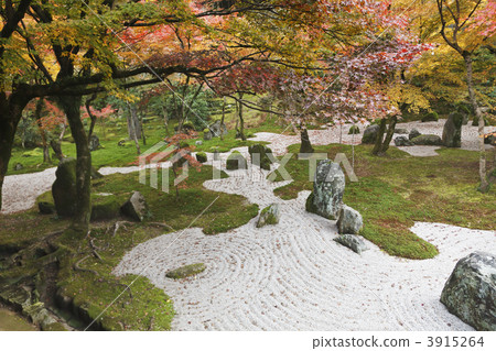 Koime Zenji 3915264
