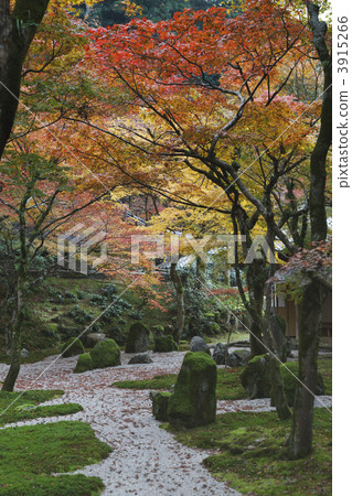 Koime Zenji 3915266
