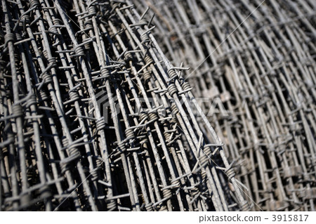 Barbed wire 3915817