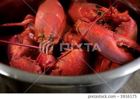 Boiled lobster 3916175