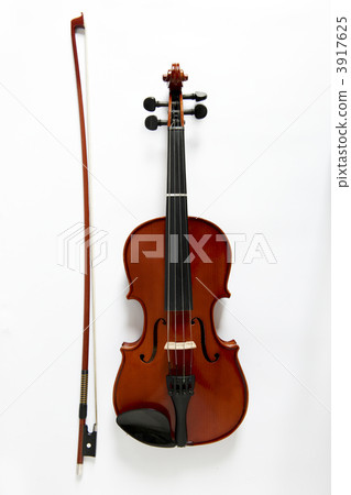 Viola Viola 3917625