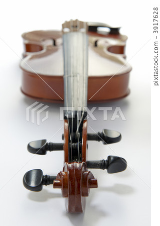 Viola Viola 3917628