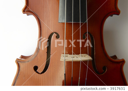 Viola Viola 3917631