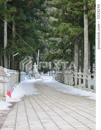 Koyasan Okunoin Koyasan Okunoin 3919240
