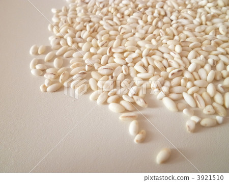 Rice grain wheat 3921510
